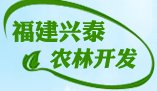 福建省兴泰农林开发有限公司