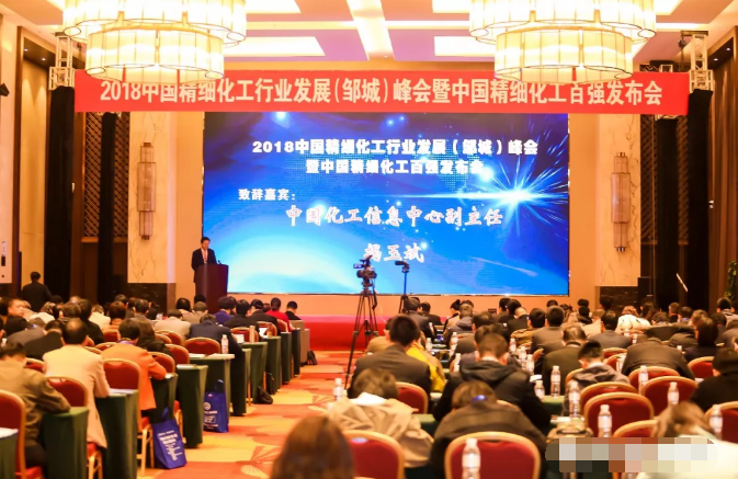 第十九届国际精细化工原料及中间体（铁山港）峰会暨2019中国精细化工百强发布会